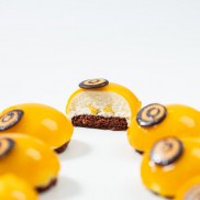 Mango-passion fruit - 2 Photo
