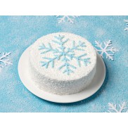 Snowflake - 2 Photo