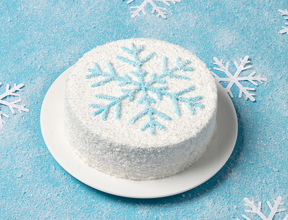 Snowflake - 2 Photo