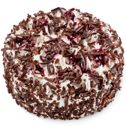 Black Forest - 1 Photo